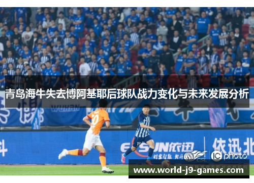 青岛海牛失去博阿基耶后球队战力变化与未来发展分析