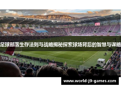 足球部落生存法则与战略揭秘探索球场背后的智慧与谋略