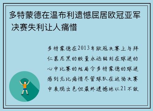 多特蒙德在温布利遗憾屈居欧冠亚军 决赛失利让人痛惜